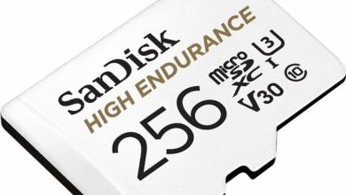 20 bin saat videoya dayanan SanDisk High Endurance microSD kart serisi bu ay satışta