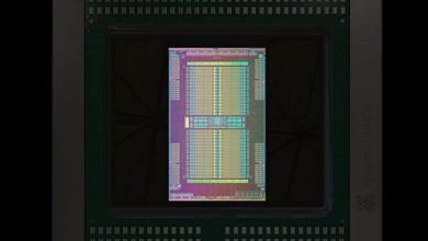 AMD’den Apple özel çift birimli Radeon Vega II ekran kartı