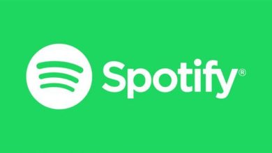 Spotify Hikayeler özelliği faaliyete geçiyor